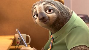 sloth
